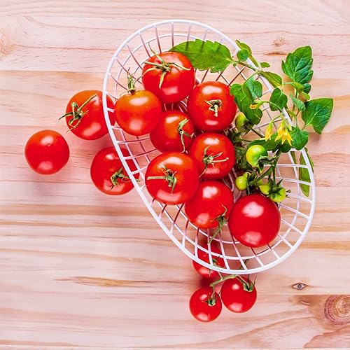 Miniatura 5 de AeroGarden Red Heirloom - Kit de semillas de tomates cherry 6 cápsulas