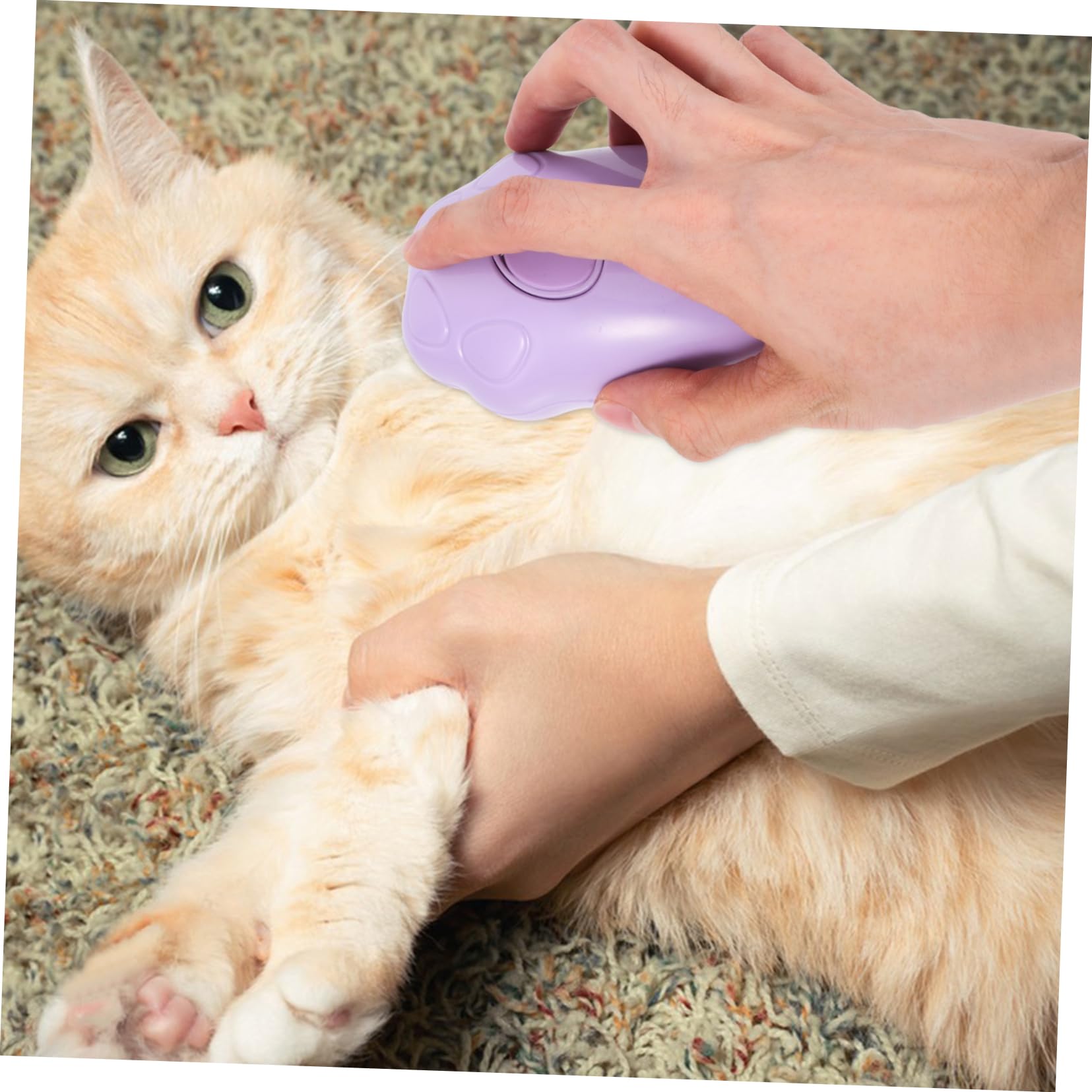 Toddmomy 5piezas Cepillo De Vapor Para Autolimpiante Gato y Cepillo Masajeador De Pelo Para Baño y Cuidado De
