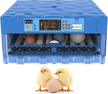 71Oefcbin-L._AC_UF350, 71Oefcbin-L._AC_UF350,