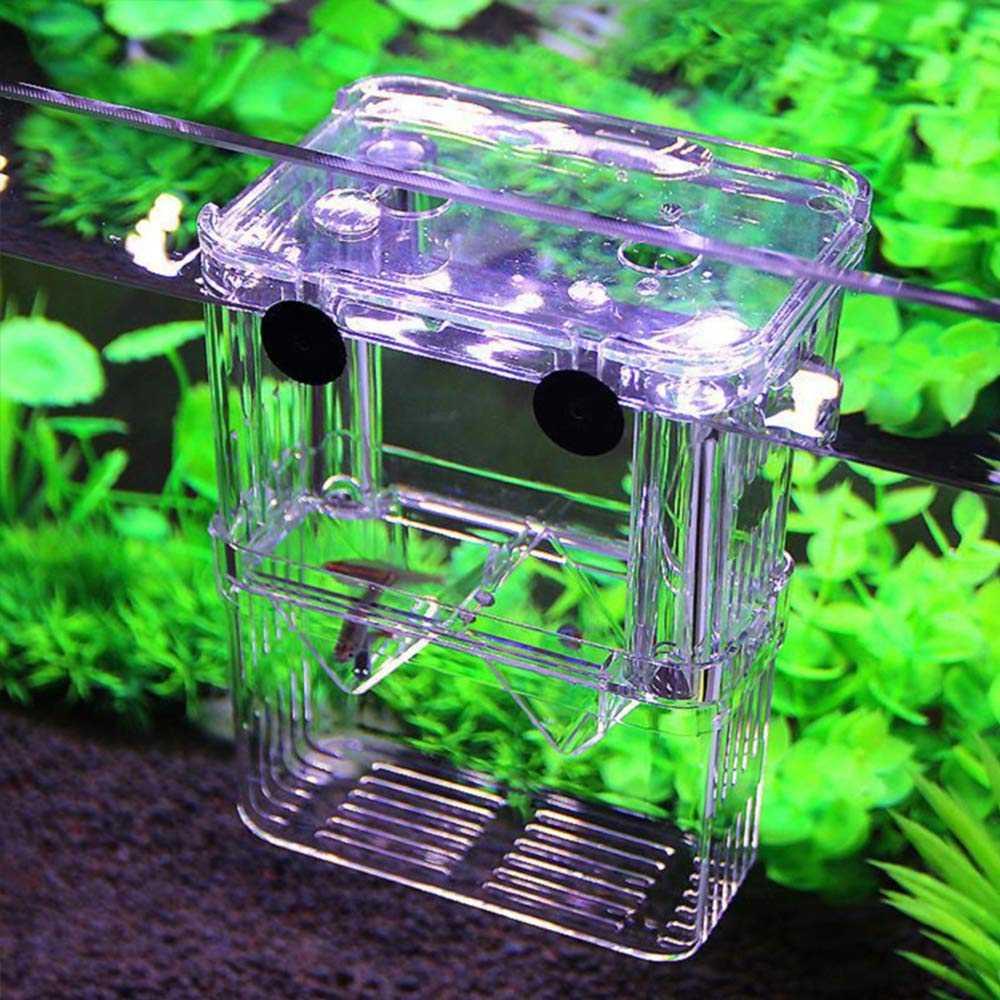 Snapklik.com : Small Fish Tank, Fish Breeder Box For Aquarium - Clear ...