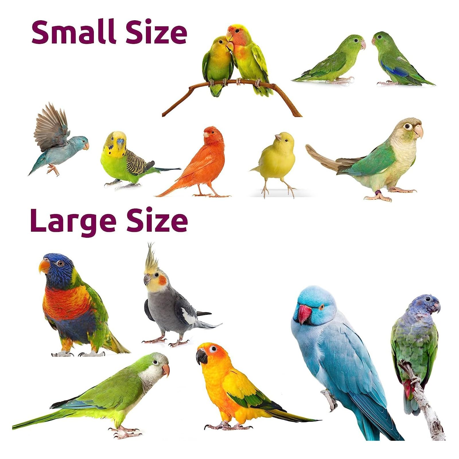 Amazon | 鳥スイング綿ロープリング鳥ぶら下げおもちゃ手作りスタンド