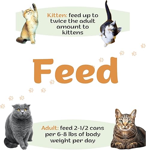 Miniatura 6 de HEART TO TAIL CAT Food 5.5 onzas (paquete de 15) pescado blanco y atún oceánico + regalo Squeeze UP (4 ONU) pescado blanco océano y atún Entree