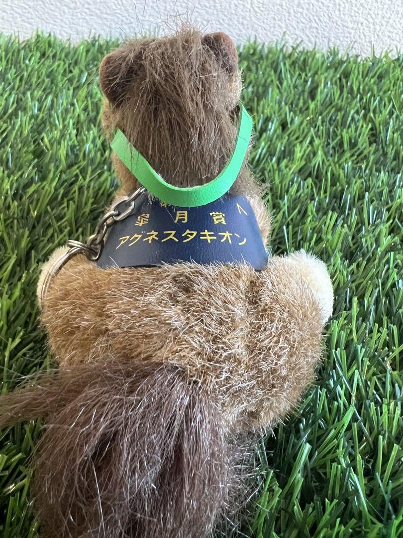 アバンティーズ ぬいぐるみ Amazon.co.jp: 限定 入手困難 アバンティー アグネスタキオン5s