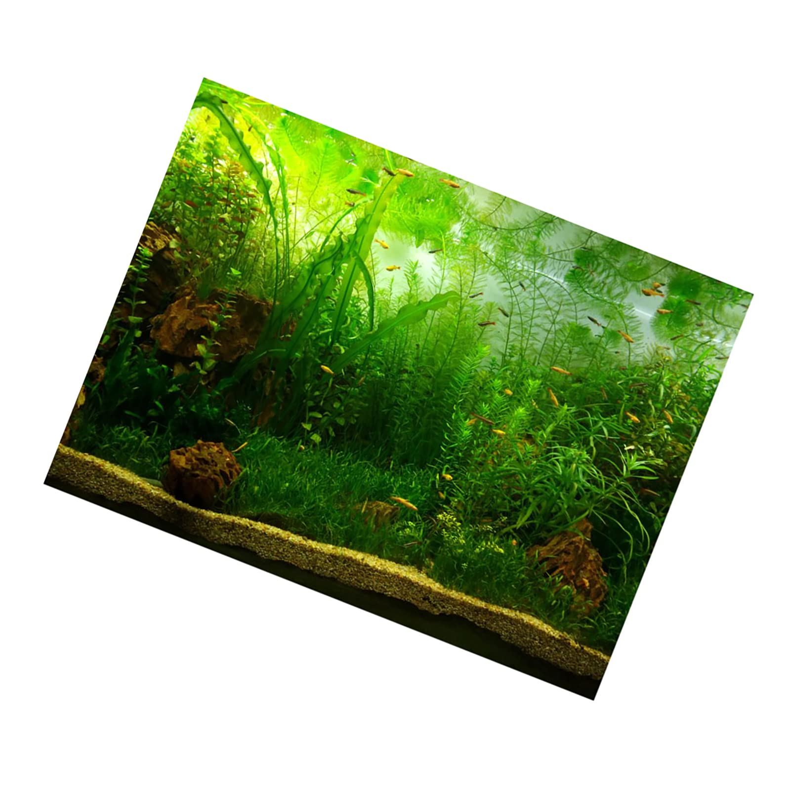 Poster per Acquario in Stile Erba d'Acqua, Resistente Carta Decorativa Impermeabile per la Decorazione Dell'acquario, in PVC Autoadesivo (Pvc9)