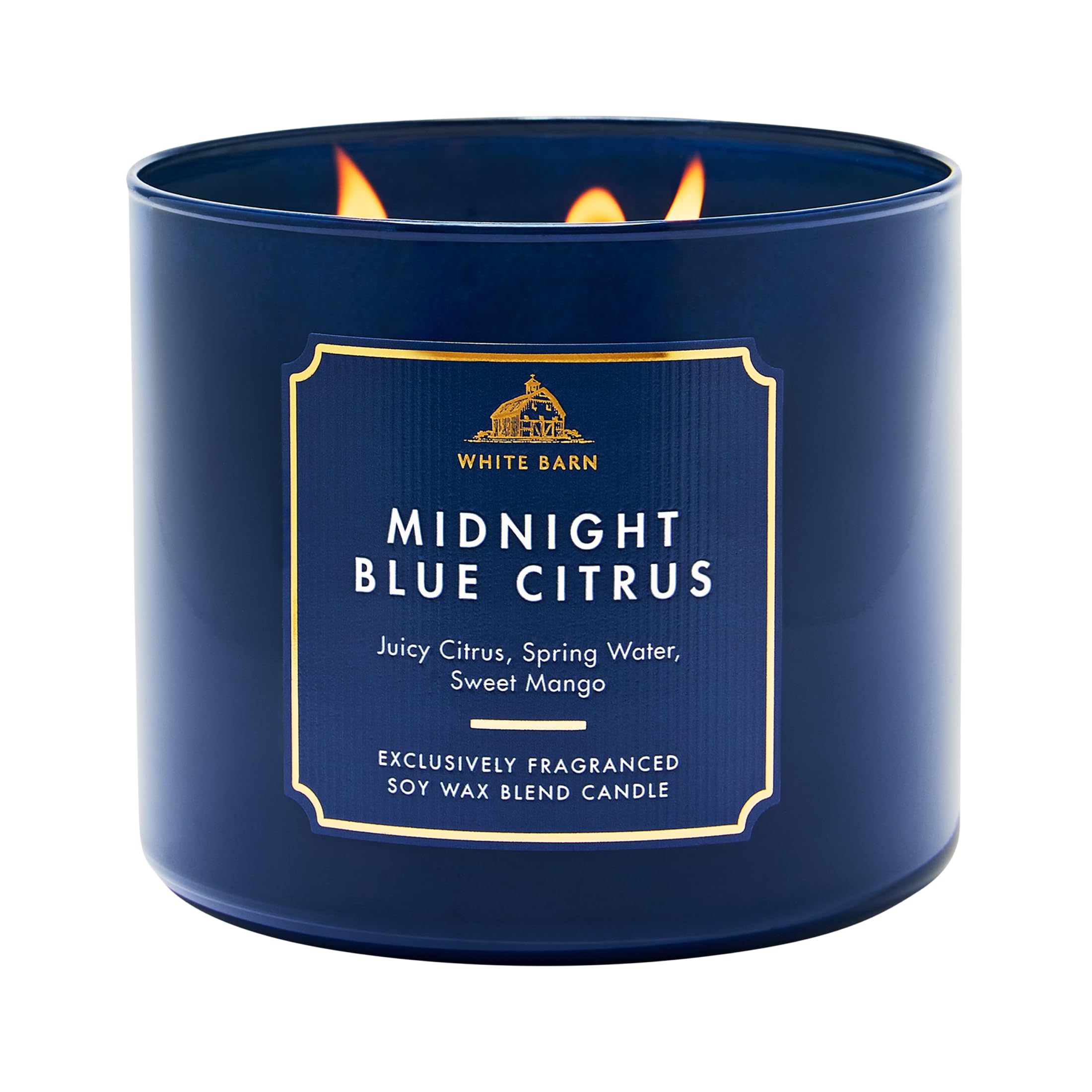 Amazon.com: Bath & Body Works Midnight Blue Citrus 3-Wick Candle