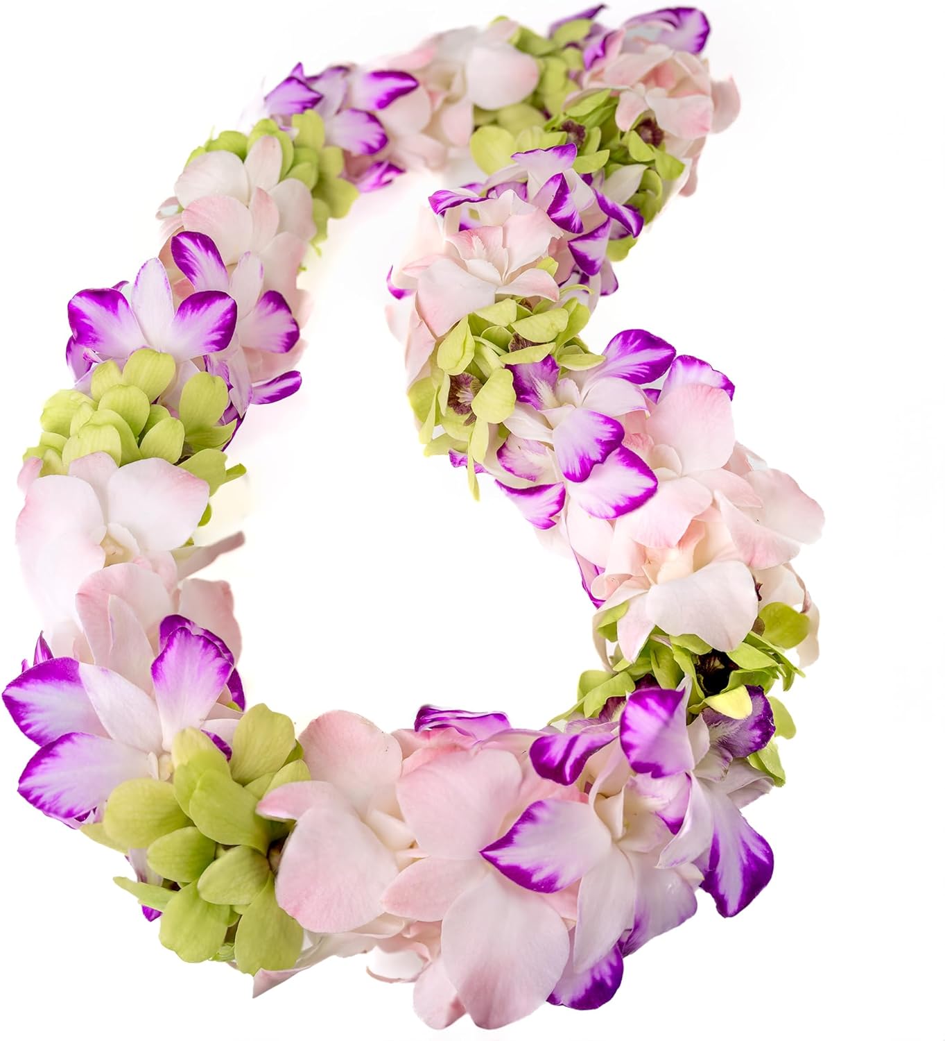 Fresh Cut Orchids Flower Leis Pink, Fresh Orchids, Orchids Longlasting