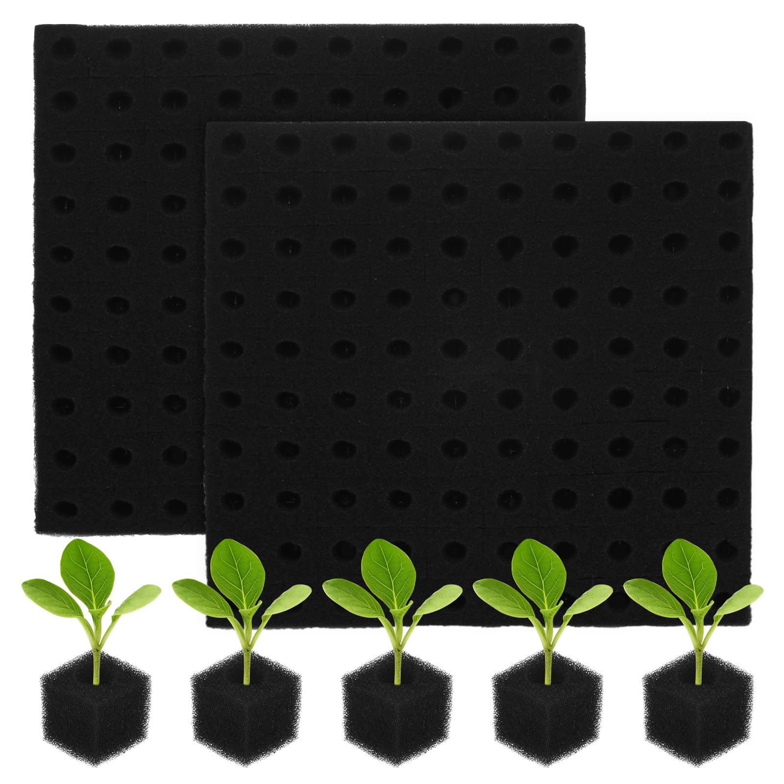M METERXITY 200-Pack Hydroponics Sponges, 0.98 Inch Growing Media Square Sponges for Planting Gardening Tool/Grow Seedlings/Home Vegetable Flower, Soilless Cultivation Seedling [Black]