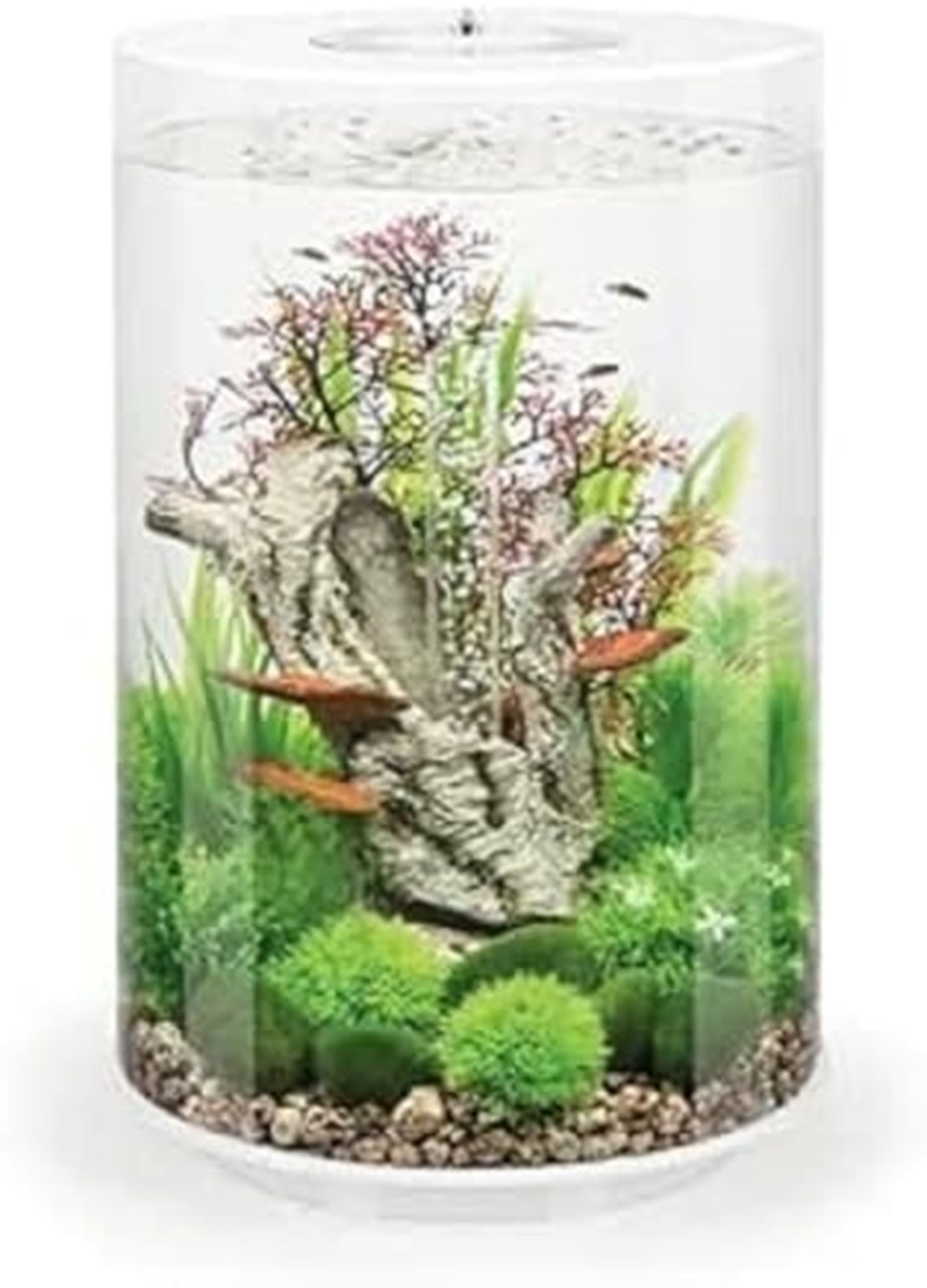 biOrb TUBE 35 Aquarium (White, 35 Litres), Perfect Beginner Fish Tank With Integrated LED Lights, Easy Set Up All-In-One Kit, 360-Degree View Acrylic Aquarium, 5-Step Filtration System, Acrylic Base