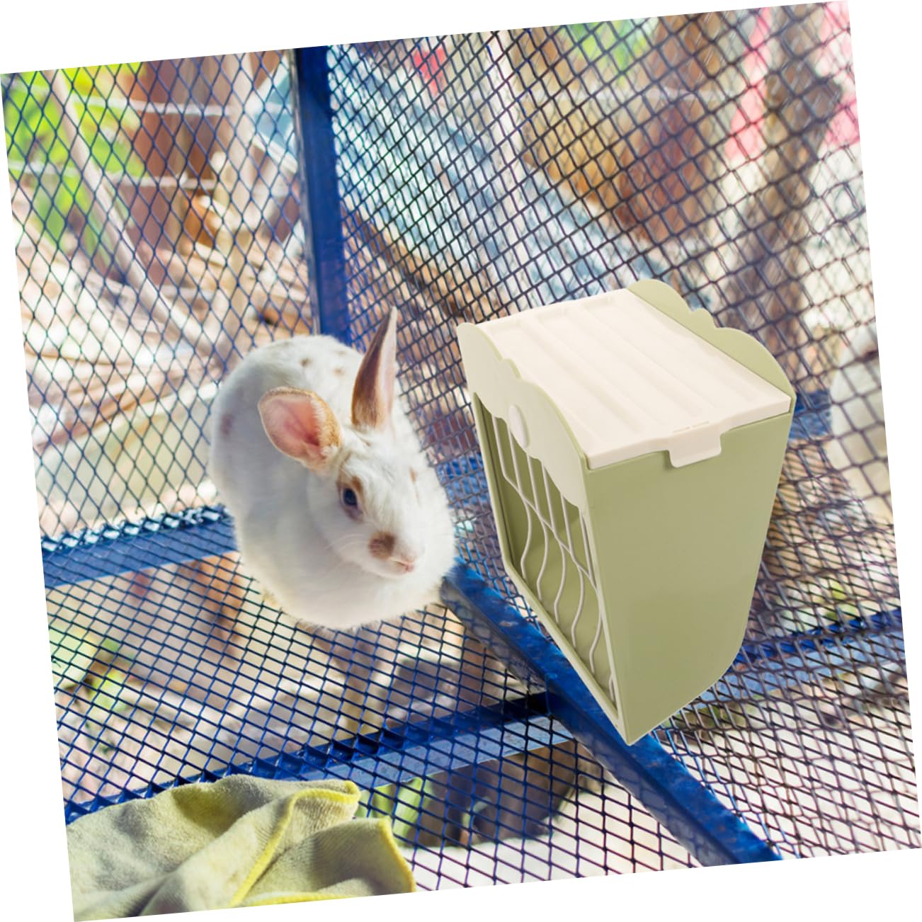 Mangiatoia Per Conigli E Porcellini D'india 2 Pezzi Dispenser in Plastica Contenitore Per Cibo Per Animali Domestici