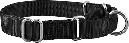 Miniatura 2 de Native Pup Martingale - Collar para perro, ajustable para mascotas pequeñas, medianas y grandes, accesorios de lindos colores para hombres, hembras,