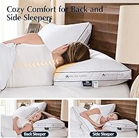 Vista 6 de Pacific Coast Goose Feather and Down Firm Bed Pillows Standard Size Set of 2 with Gusset, Luxury Hotel Collection Pillows 2 Pack for Sleeping