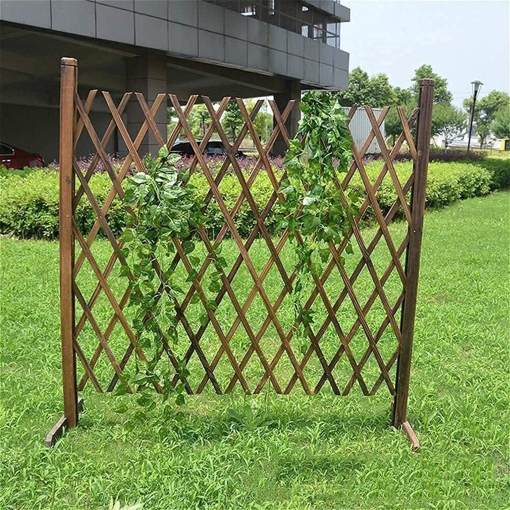 recinzione Traliccio da giardino espandibile in legno massello autoportante