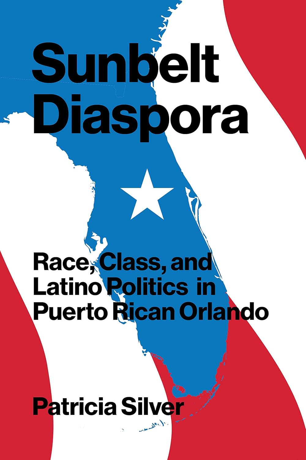 Sunbelt Diaspora: Race, Class, and Latino Politics in Puerto Rican Orlando      Kindle Edition