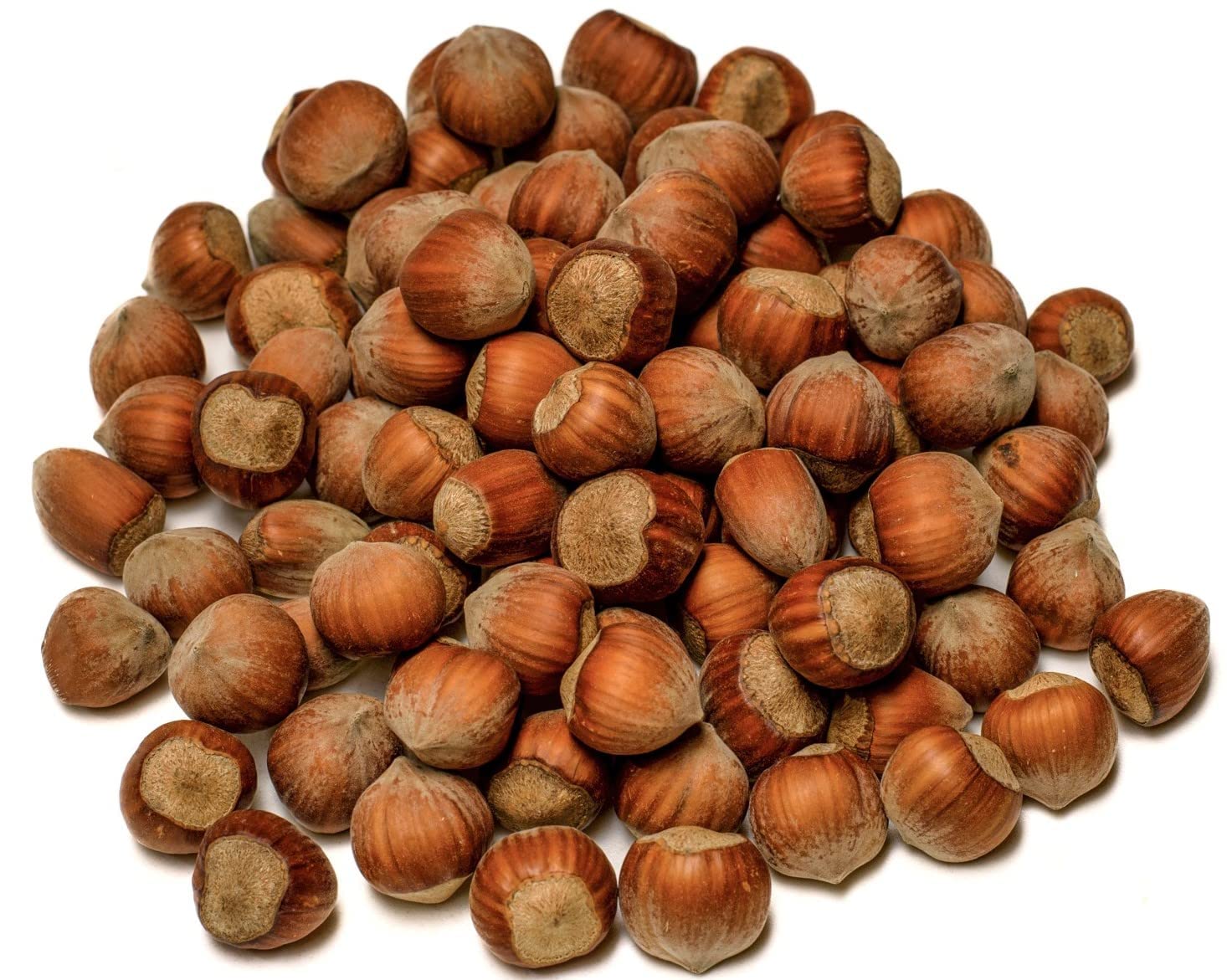 IGART FOOD & WOOD Naturbelassene Haselnüsse in der Schale 100% Rohkost & Frisch Polnische Eco-Qualität für Snack Müsli Salat, 10kg