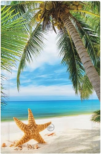 Vista 831 de Cubiertas decorativas de salida de estrella de mar playera, tablero de madera azul de concha de mar de 1 banda, decoración individual GFCI, placa