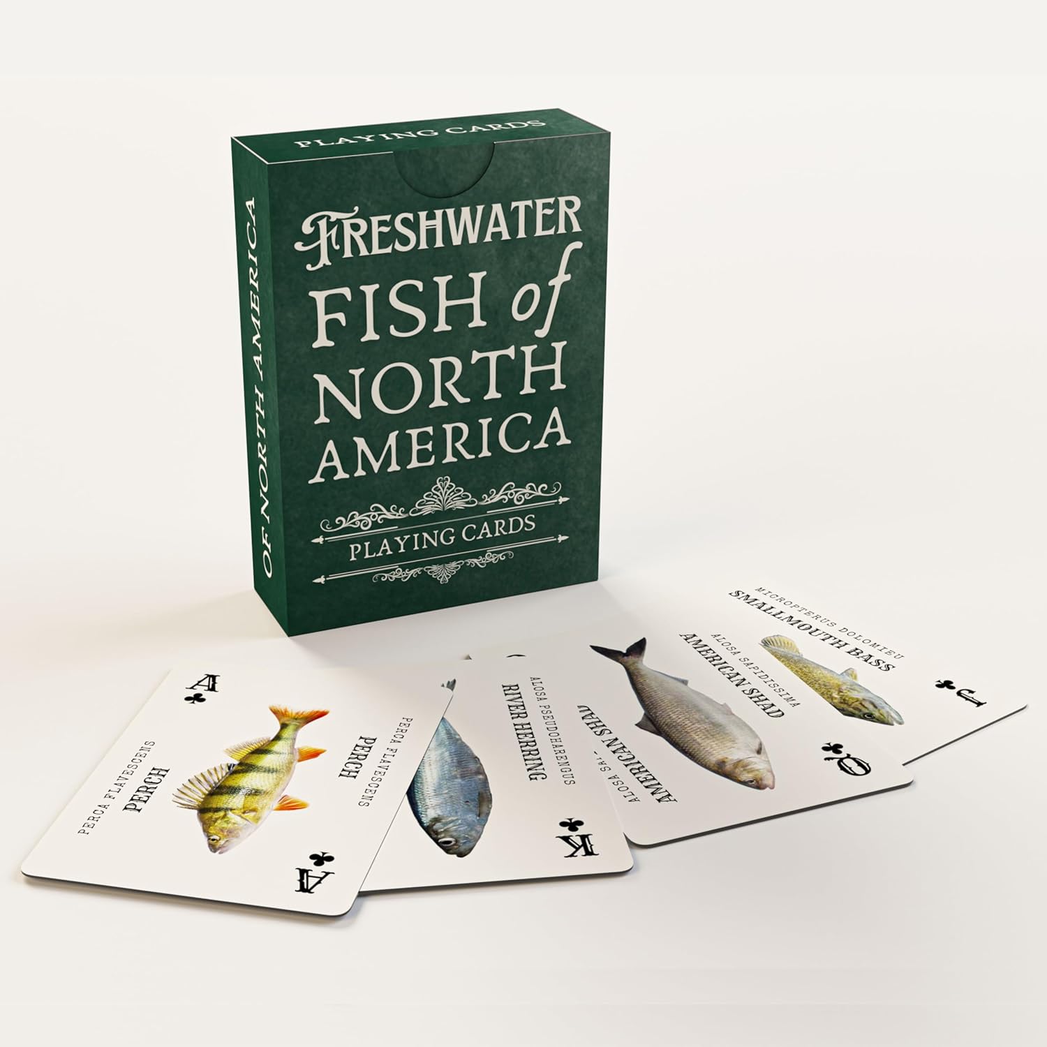 Freshwater Fish Plastic Playing Cards: Waterproof, Educational, Fits Any Fishing Tackle Box, 52 Species, Ages 60+