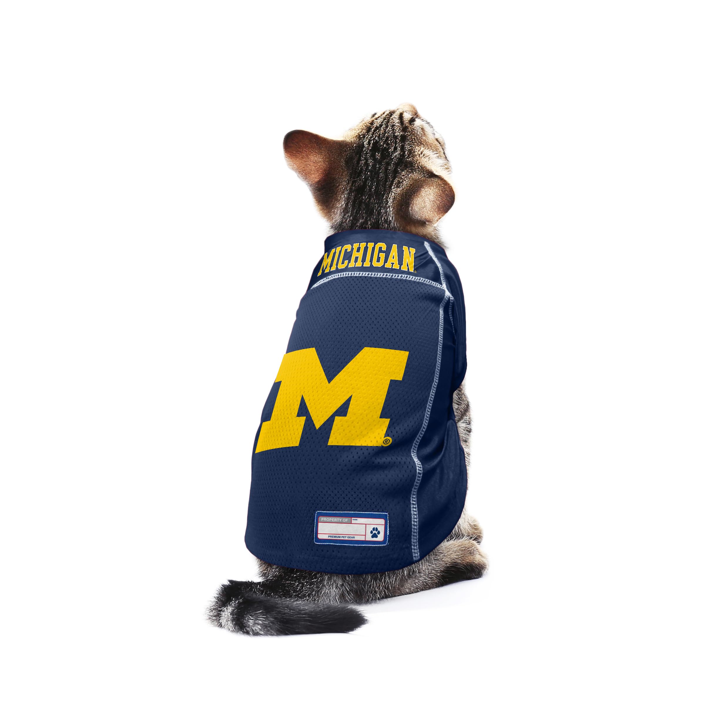 Little Earth NCAA Haustier-Trikot