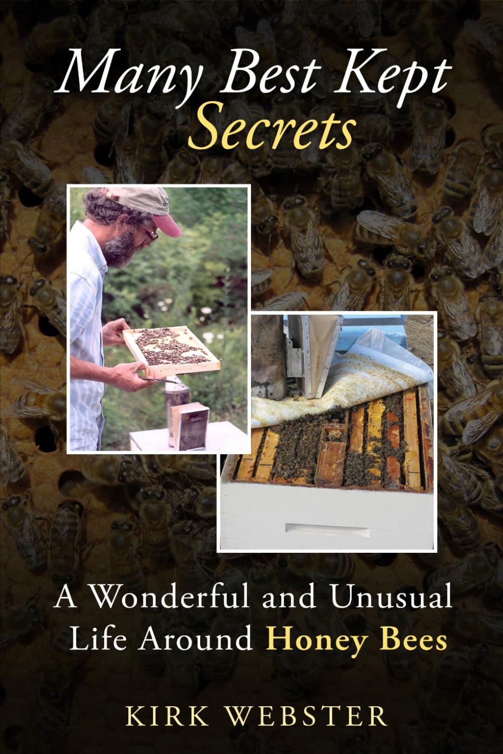 Many Best Kept Secrets: A Wonderful and Unusual Life Around Honey Bees      Paperback – June 17, 2025