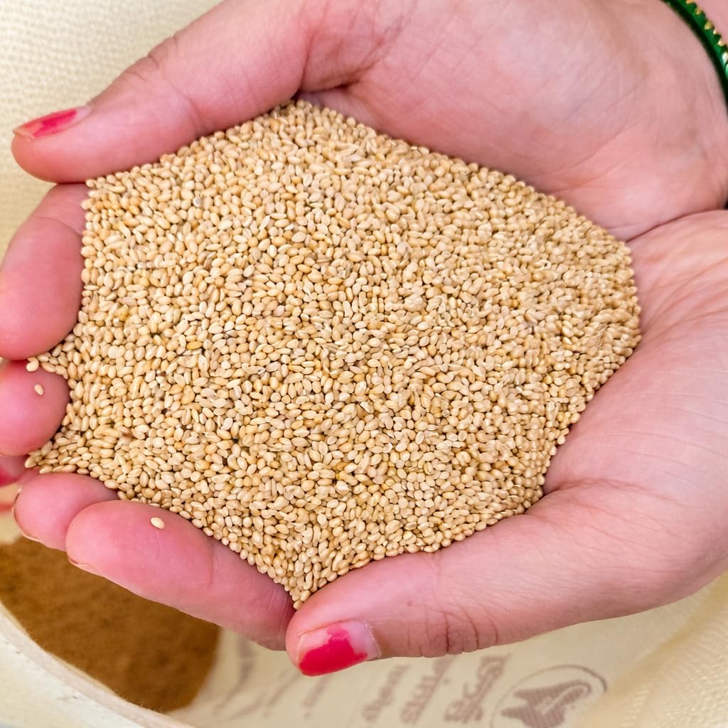 Chidiya Ghar Kangani Seeds Premium Bird Feed, 100% Natural Foxtail Millet, Chemical-Free, High Protein and Fiber, for Parrots, Budgies, Finches and Small Birds-picture-11