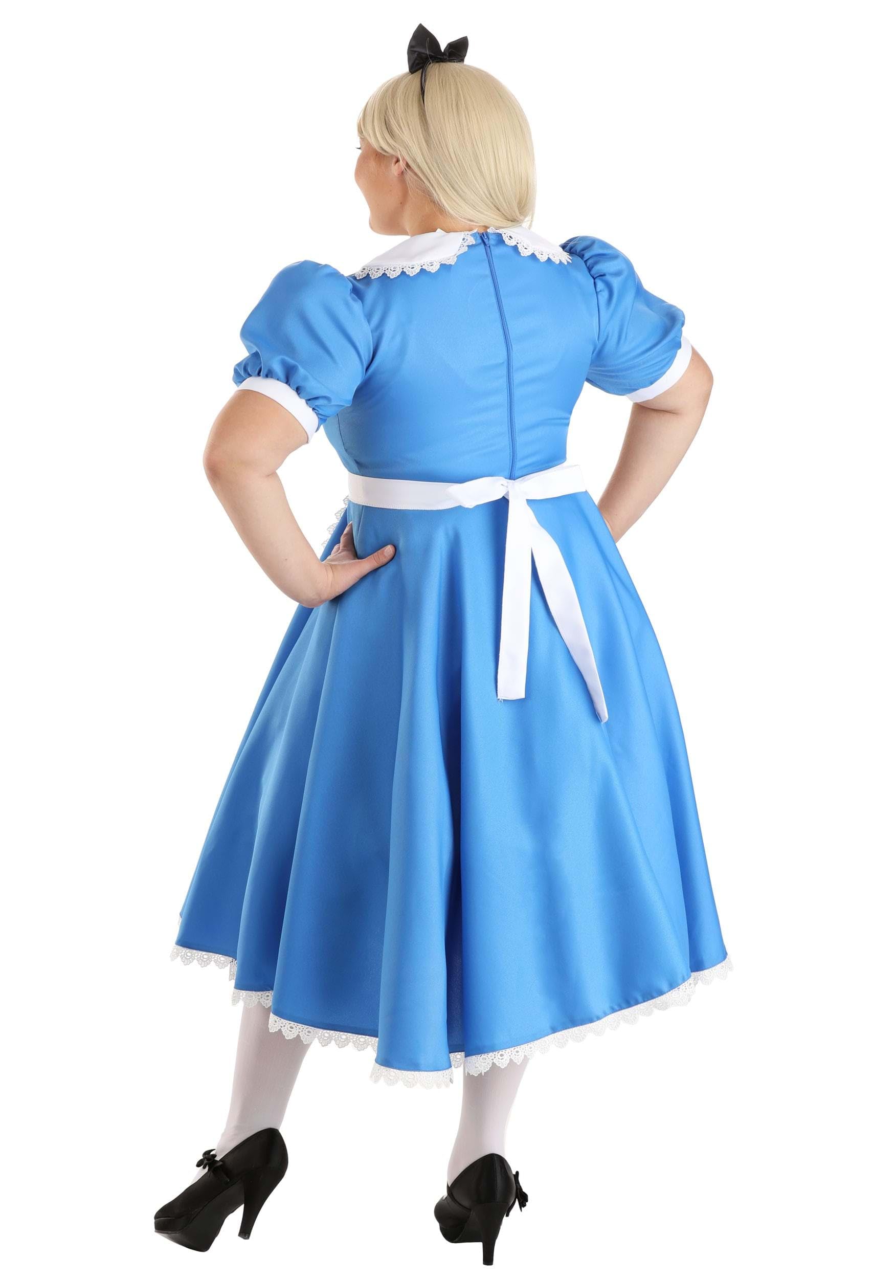 Amazon.com: Alice in Wonderland Blue Dress Costume Women with