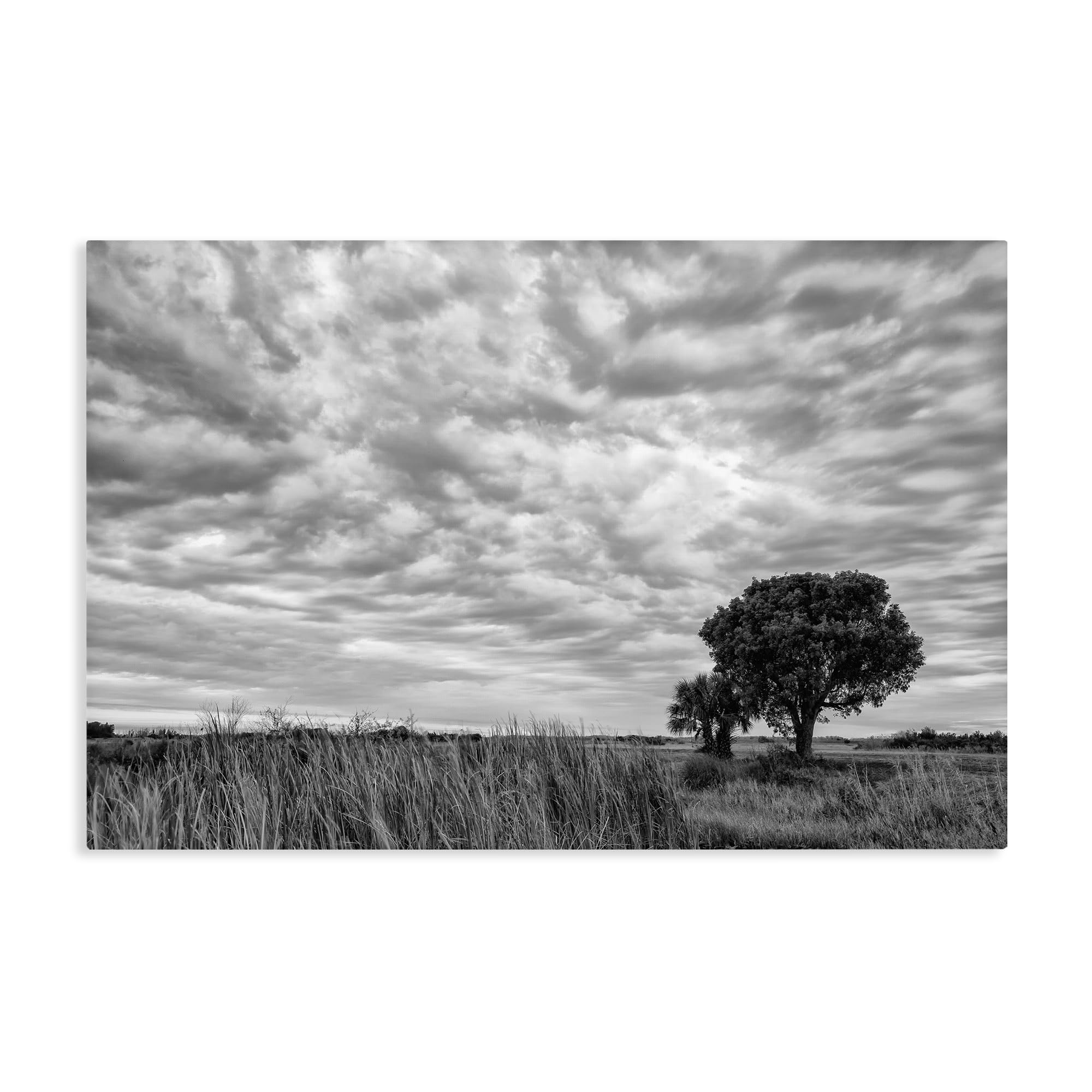 Stupell Industries Solitary Tree Beneath Clouds Wall Art for Living Room, Greyscale Landscape Serenity, 16 x 24 Inch Gallery Wrapped Canvas Wall Art, by Jon Evan, Made in USA Gift