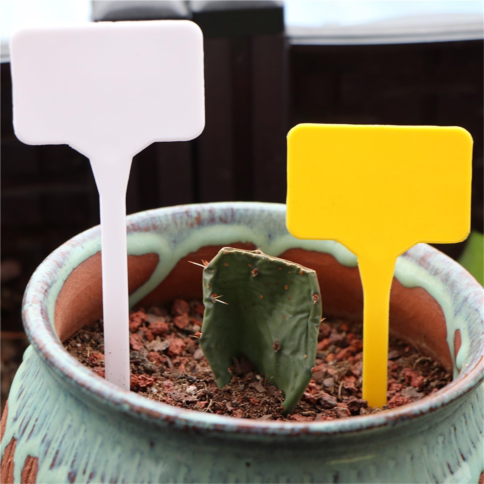Etichette Per Piante 30 pezzi giallo e bianco 14,8x5,5 cm materiale etichetta pianta vivaio fiore impermeabile riutilizzabile carta di identificazione(B-WhiteX30pcs)