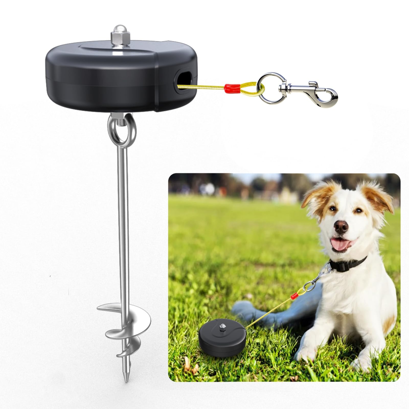 Photo 1 of 30ft Retractable Dog Tie Out Cable and Stake - No Tangle Leash for Between 10-90lbs - 360° Retractable Dog Lead Reel for Yard Camping Outdoor (Black+Silver)