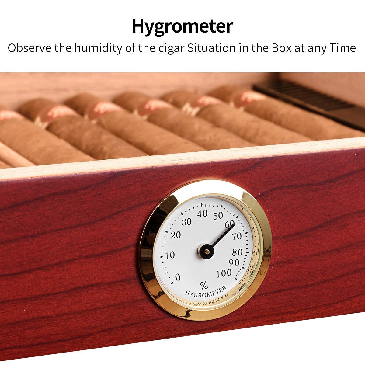 Buy CIGARLOONG Cigar Humidor Handmade with Humidifier and Hygrometer