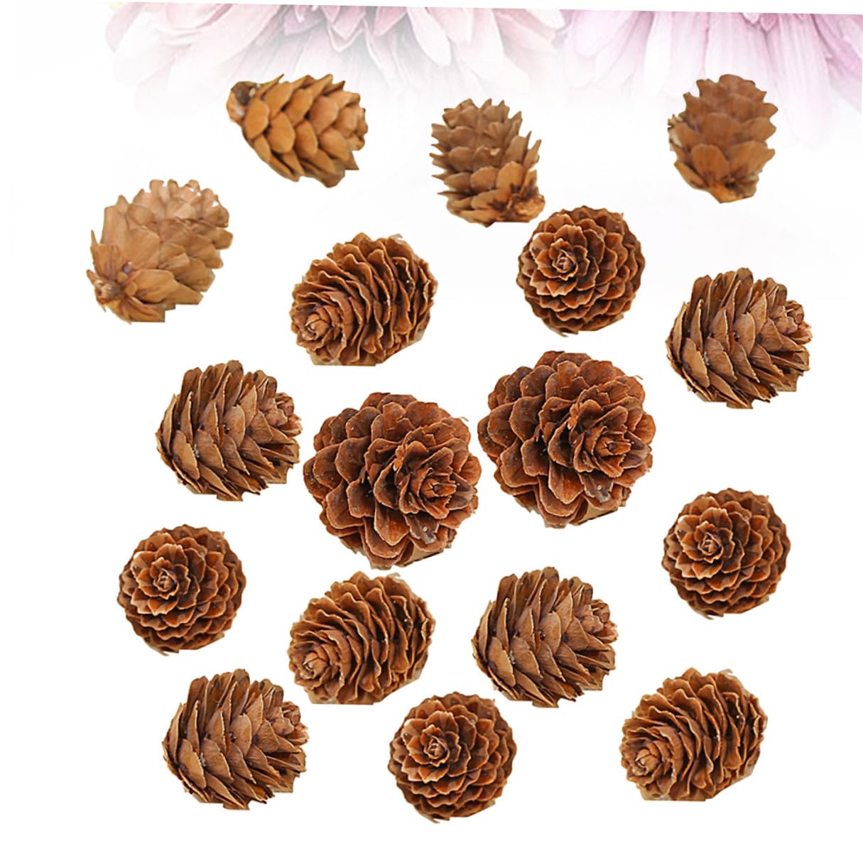 210piezas Decoraciones de Piñas Naturales Secas Piñas de Hogar Adorno Vegetal para Acción de Gracias y Navidad