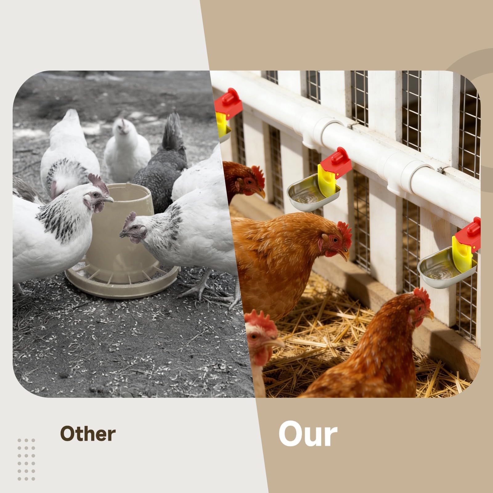 Paquete de 8 tazas de agua de pollo de metal grande y resistente, para sistema de riego de aves de corral y conejos