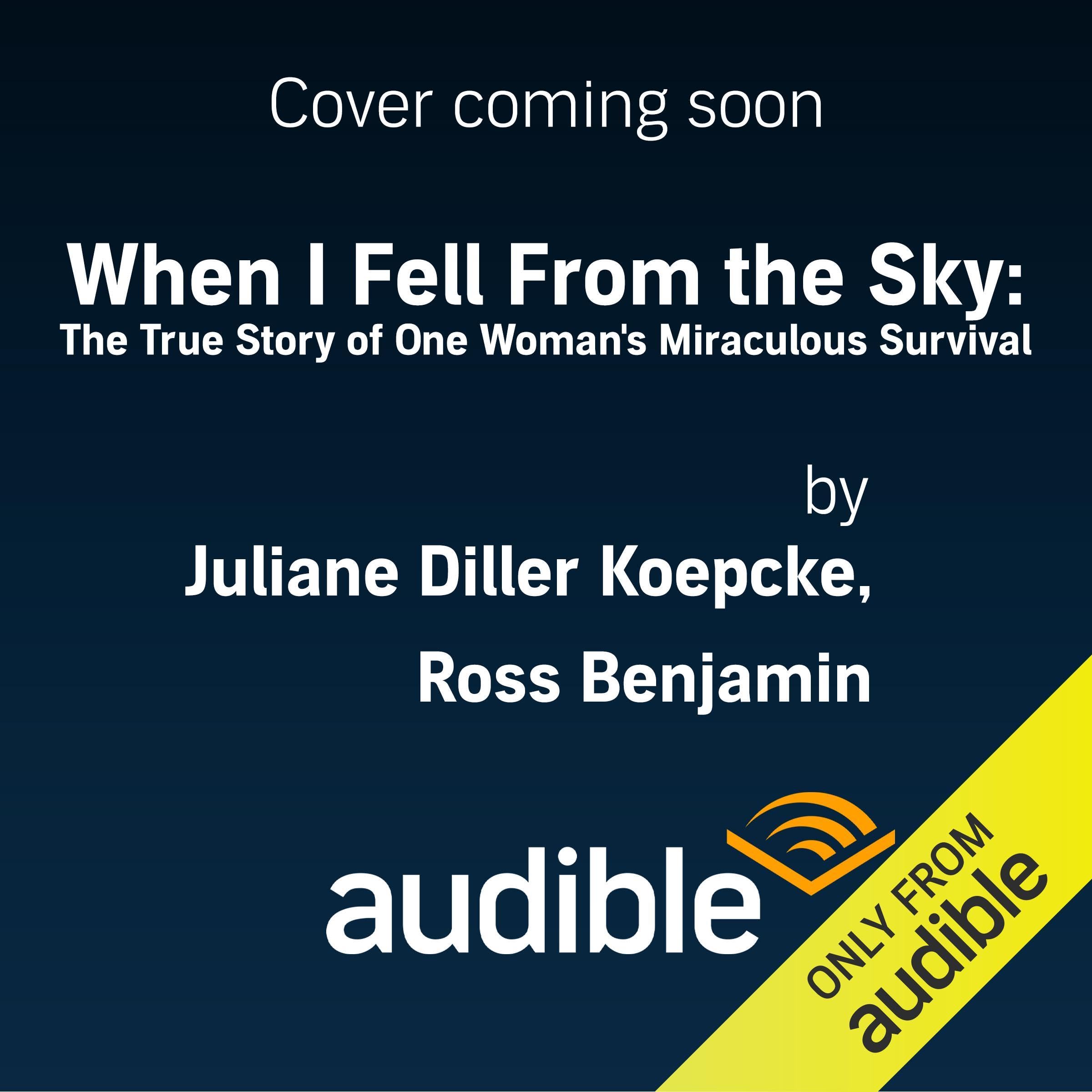 Cover art for When I Fell from the Sky