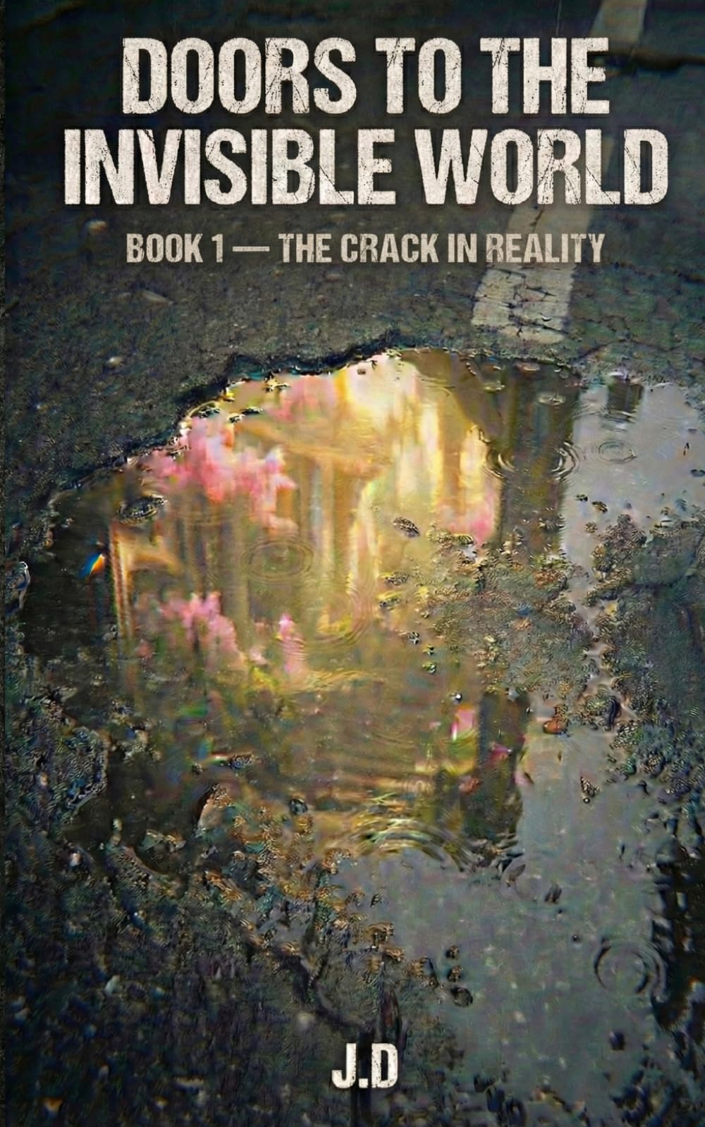 THE CRACK IN REALITY (DOORS TO THE INVISIBLE WORLD)