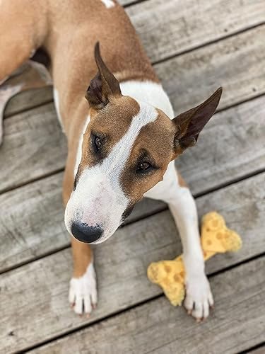 Vista 65 de Nylabone Lobster Power - Juguete masticable para perros, juguetes para perros para masticadores agresivos, sabor filet mignon, perros pequeños