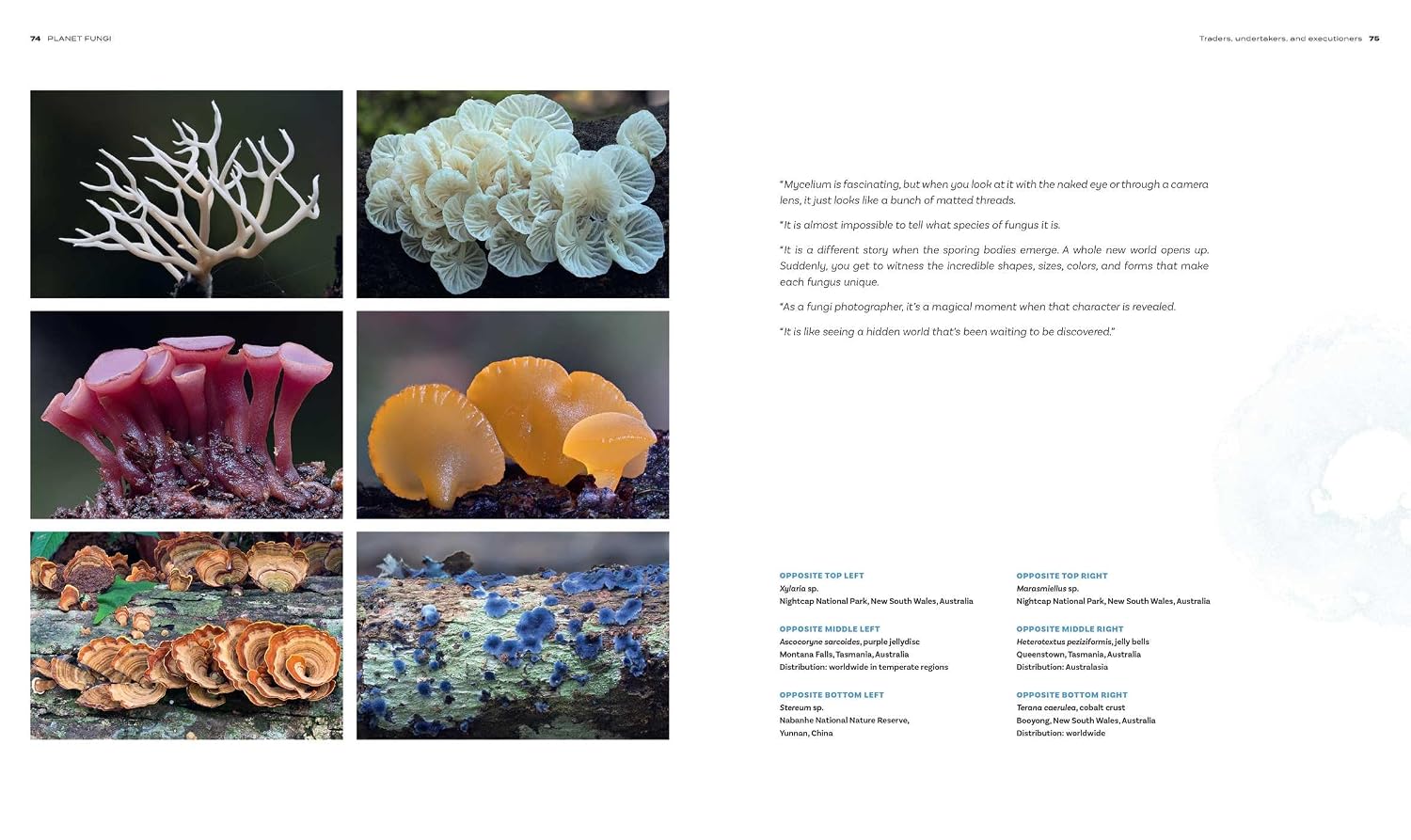 Planet Fungi: A Photographer's Foray      Hardcover – September 8, 2026