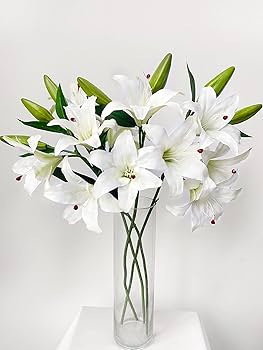 ⭐︎【Liliaさま専用】⭐︎ユリナリーS/O オルファクトリー 4kg 生花】ユリ(オリエンタル)ピンク 品種おまかせ【70cm/高知県