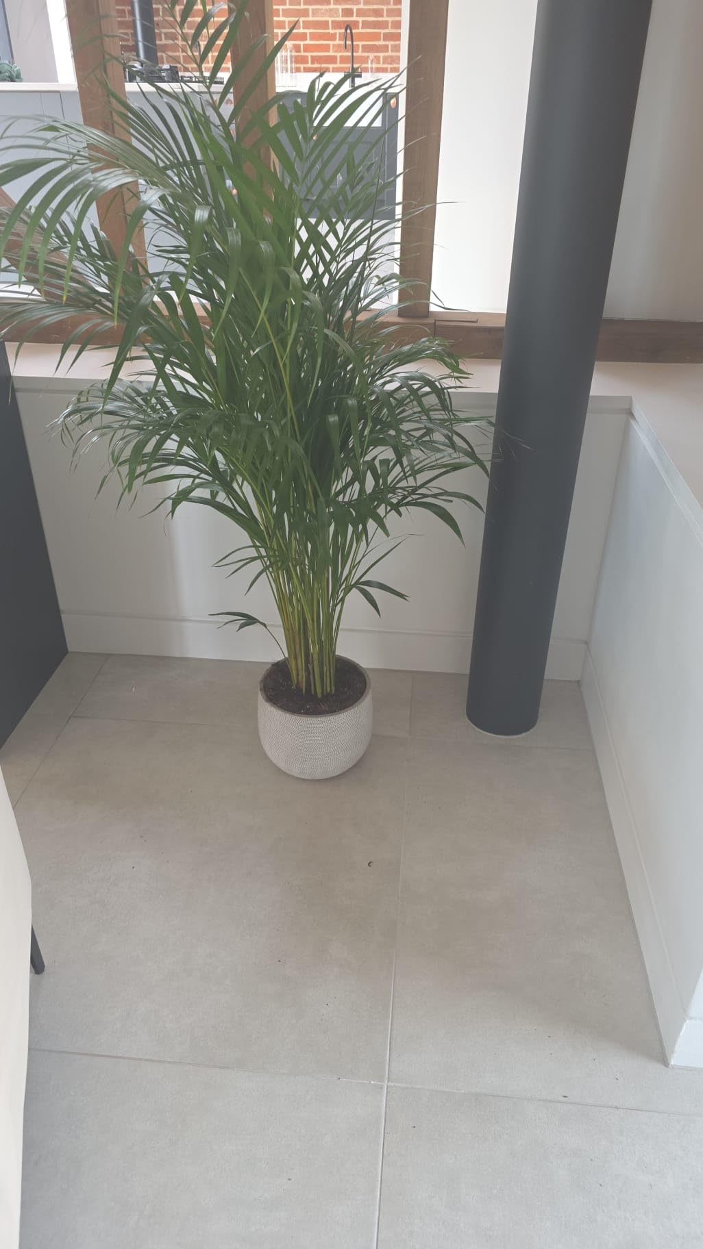 Customer photo