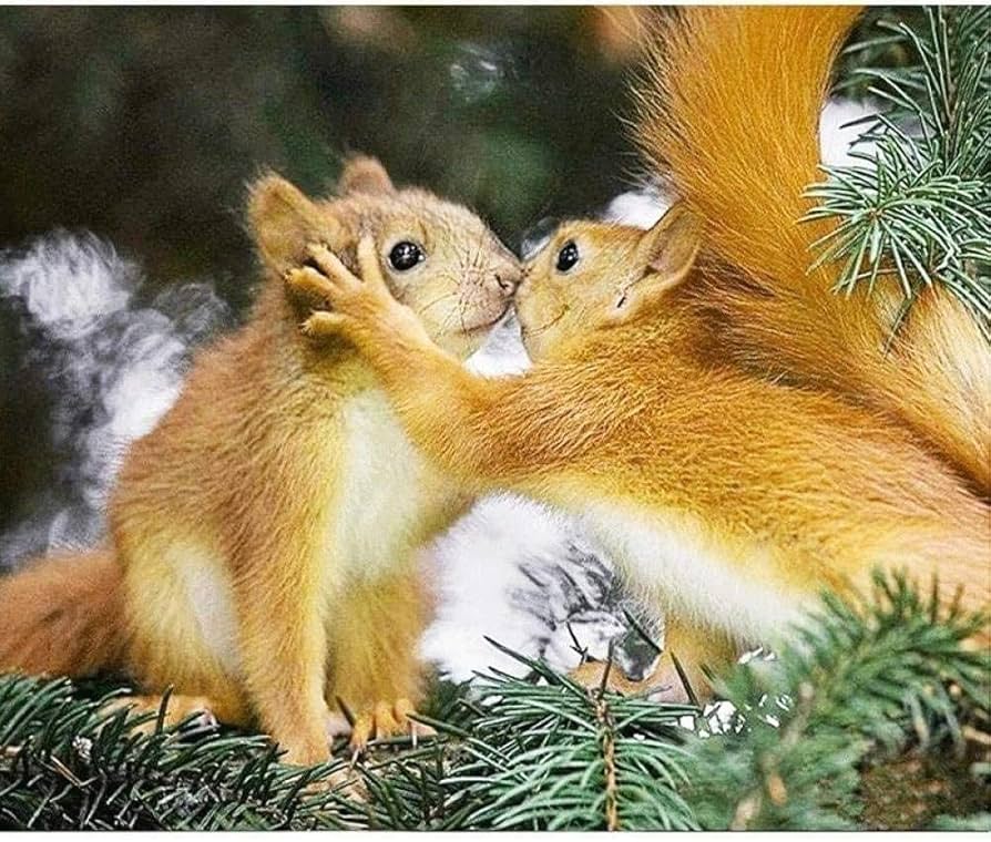 risu ページ Mizuno Racer S 'Grey Beige' D1GH223506