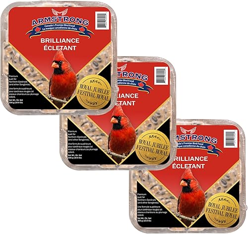 Armstrong Bird Food Royal Jubilee Brilliance - Pastel de sebo de 10.6 onzas (paquete de 3), con girasol de aceite negro, cártamo, pasas, cerezas y