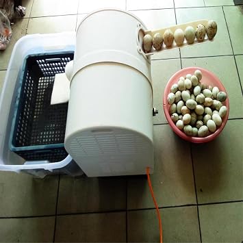 NYMFEA 120w Egg Washer Machine Automatic Egg Cleaning Machine Commercial Chicken Duck Goose Egg Brushing Machine Egg Surface Cleaning Egg Wash Cleaning Machine Duck Egg Cleaning Machine,110V