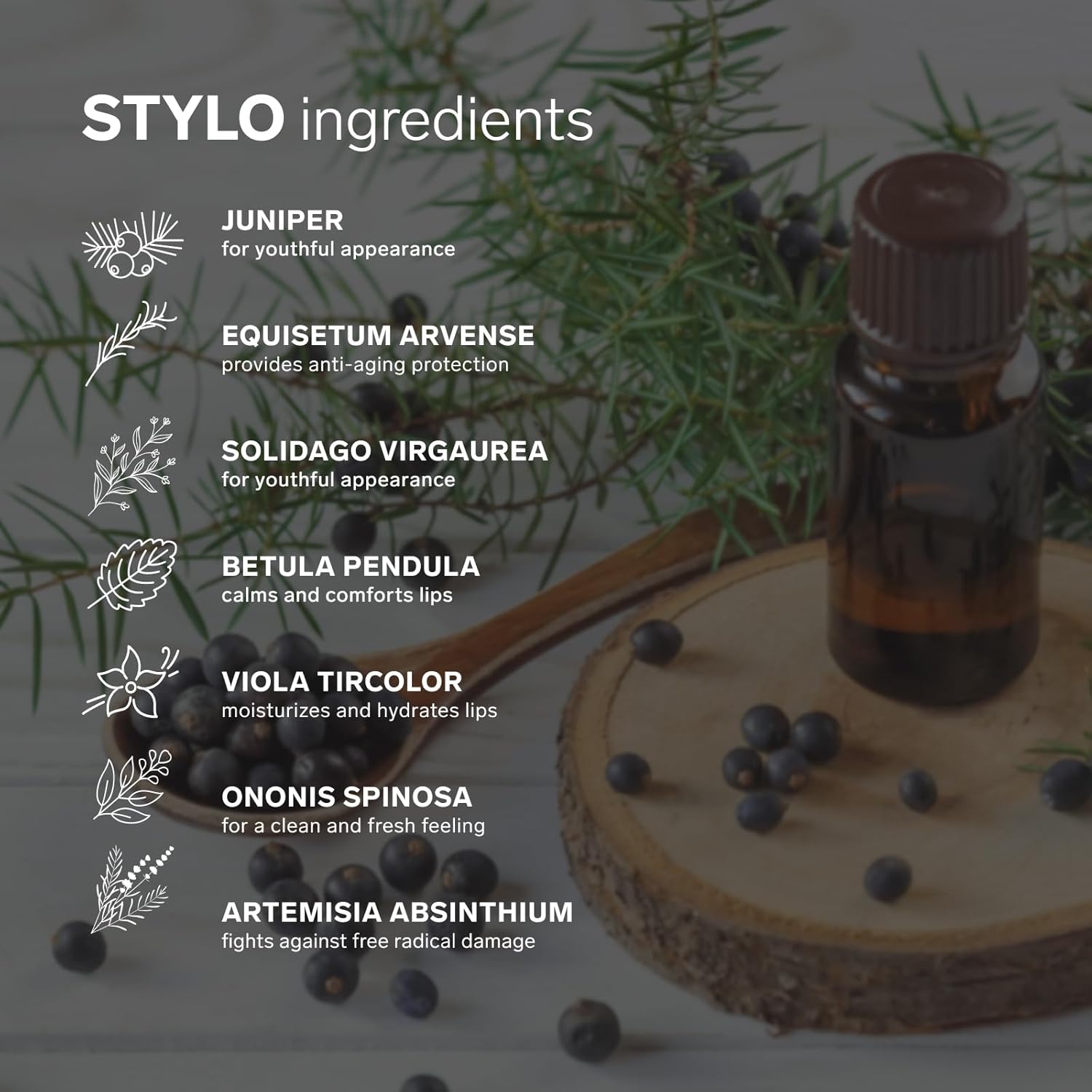 LELO MAKEUP - STYLO Lipstick - Creamy Matte Lipstick for Women, Long Lasting - 03 REBEL