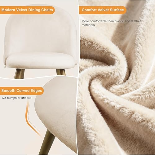 Miniatura 5 de Lightdot Juego de 2 sillas de comedor, cómodos asientos de terciopelo, sillas de sala de estar modernas de mediados de siglo, sillas de cocina