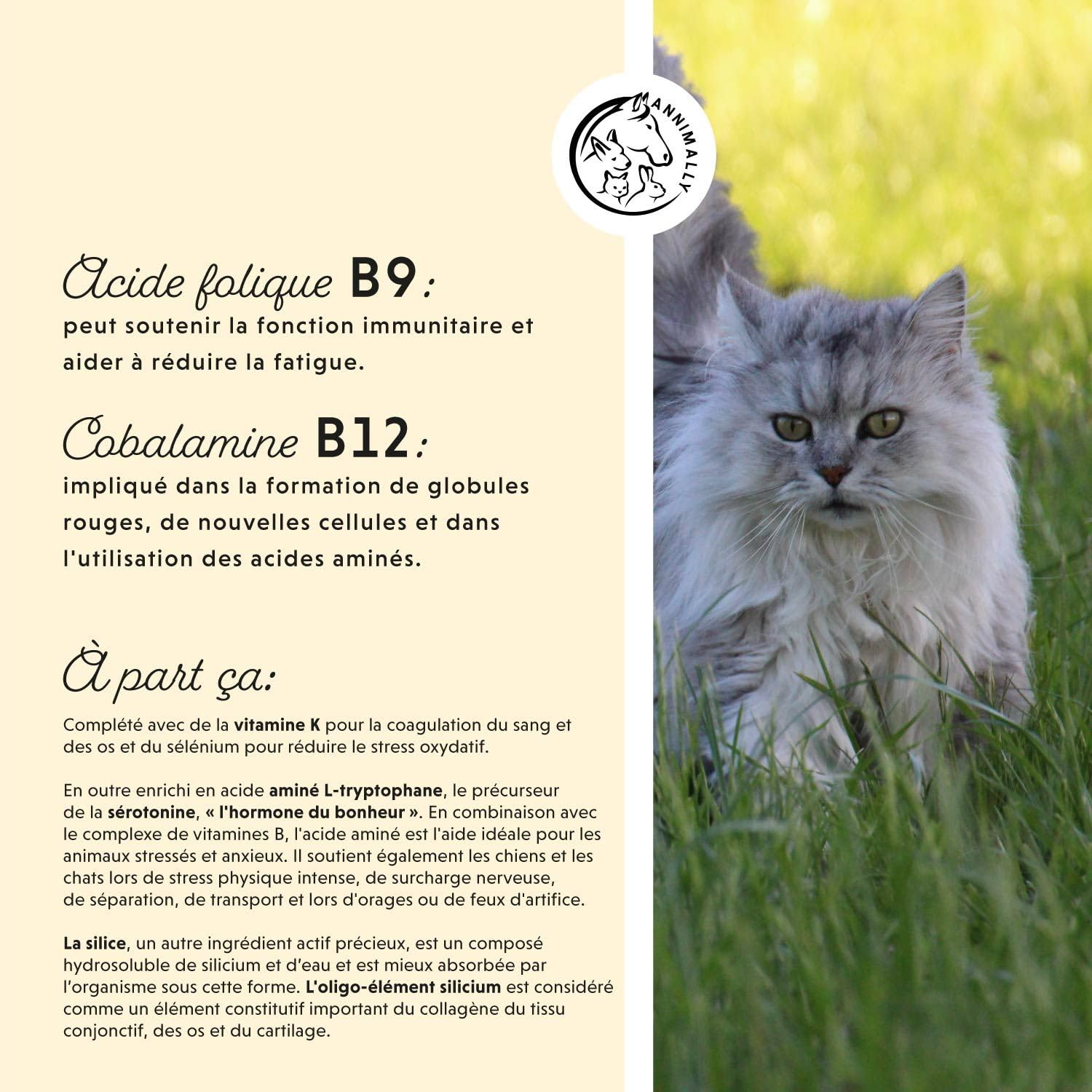 Vitamine B Complex 120 comprimés pour Chien et Chat : Vitamine B1, B2, B3, B5, B6, B9, B12 - Vitamines et compléments pour Chiens et Chats - Vitamine pour Chien - Vitamine Chat