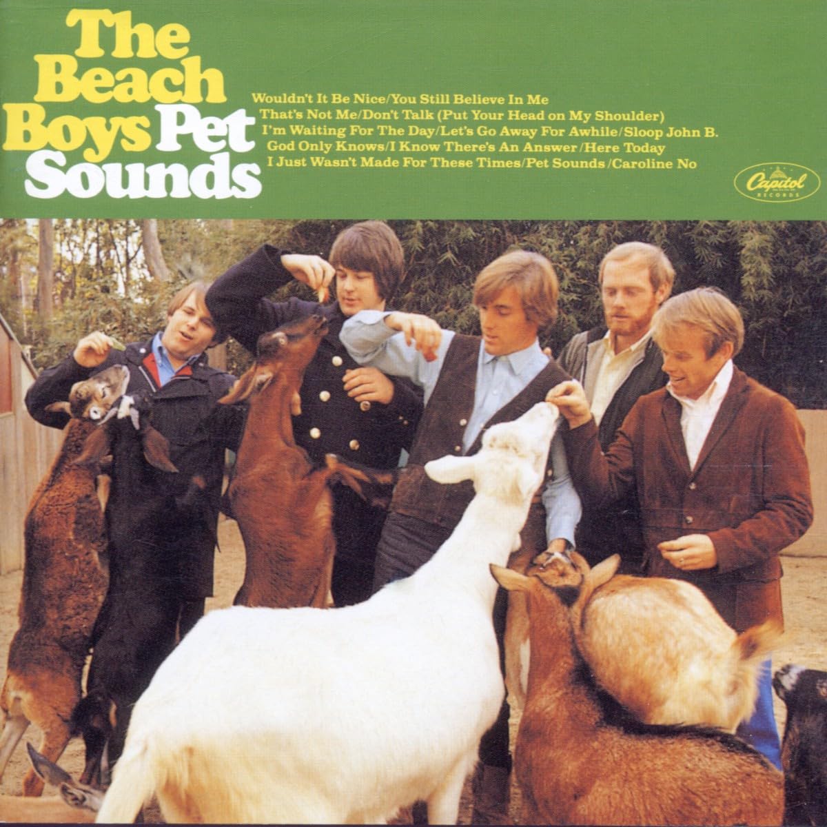 The Beach Boys Pet Sounds レコード Pet Sounds: Amazon.co.uk: CDs & Vinyl