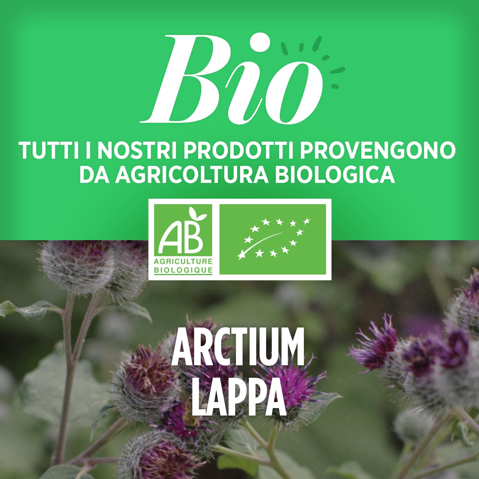 Bardana Bio 400 mg - 200 compresse