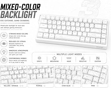 AJAZZ NK68 V2 Mechanical Keyboard Wired, 68 Key Hot Swappable Gaming Keyboard, Compact 65% Mini Keyboard with Mixed Backlight, Full N-Key Rollover for PC Mac Office