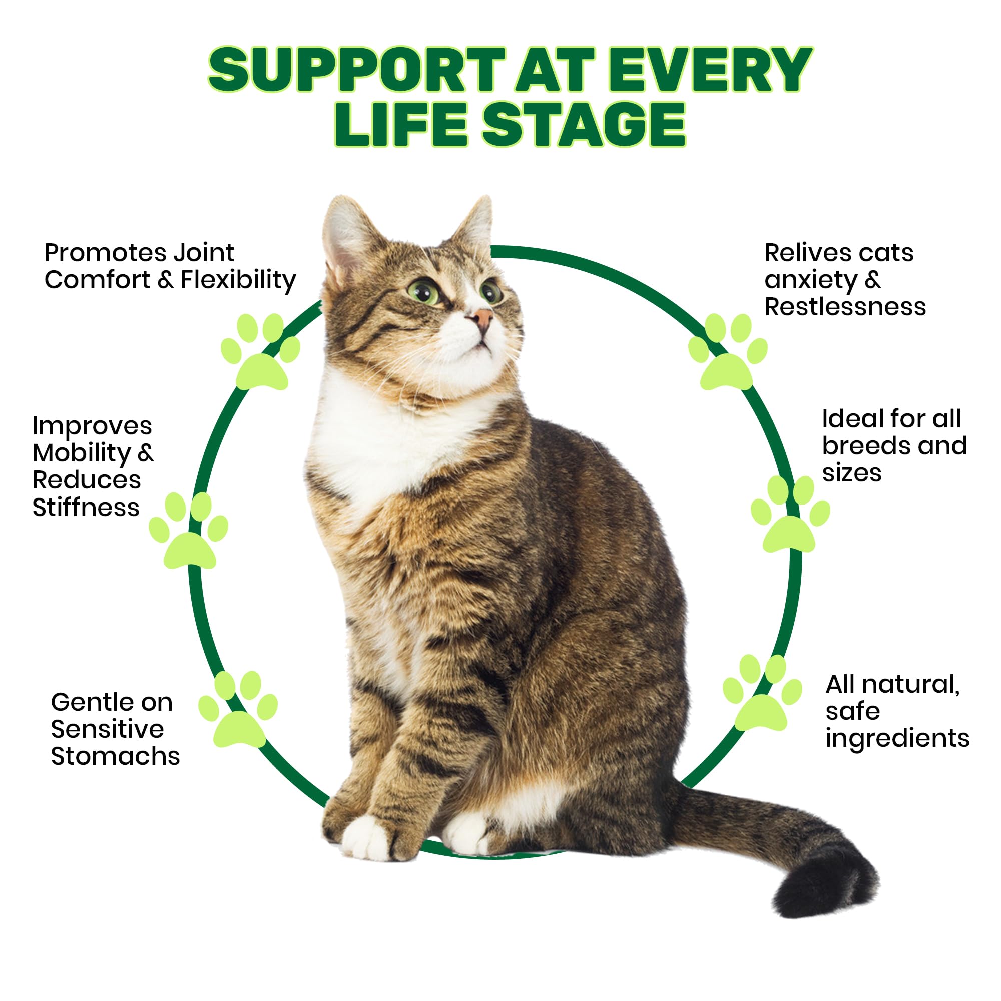ActiveFur Nutrition Joint Care Chews for Cats - 135 Salmon Flavoured Soft Chews - Image 2