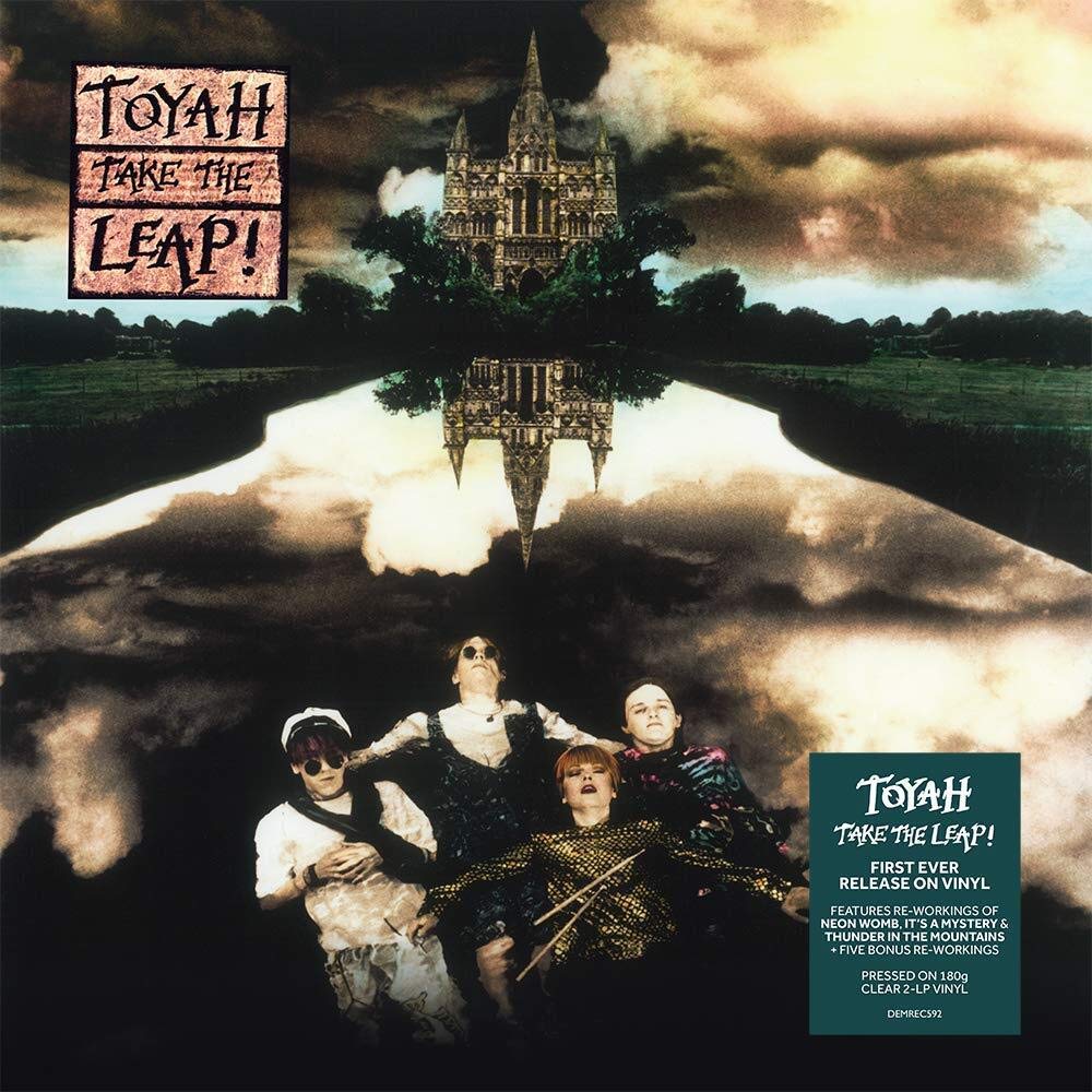 Take The Leap (180g Clear Vinyl) [VINYL]