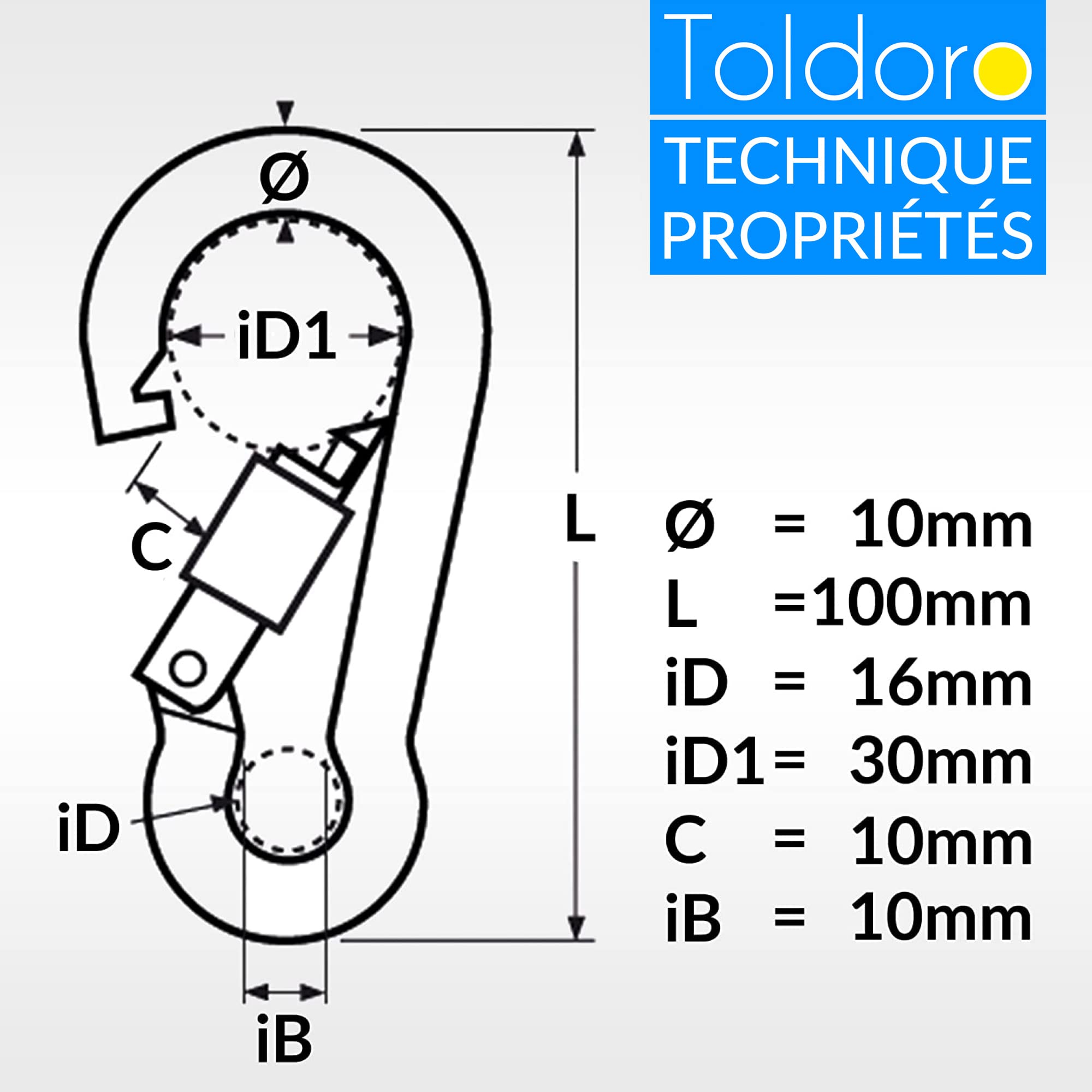 Toldoro Mousqueton en acier inoxydable avec fermeture de sécurité, mousqueton de 100 mm, mousqueton de fixation, mousqueton en acier inoxydable avec fermeture