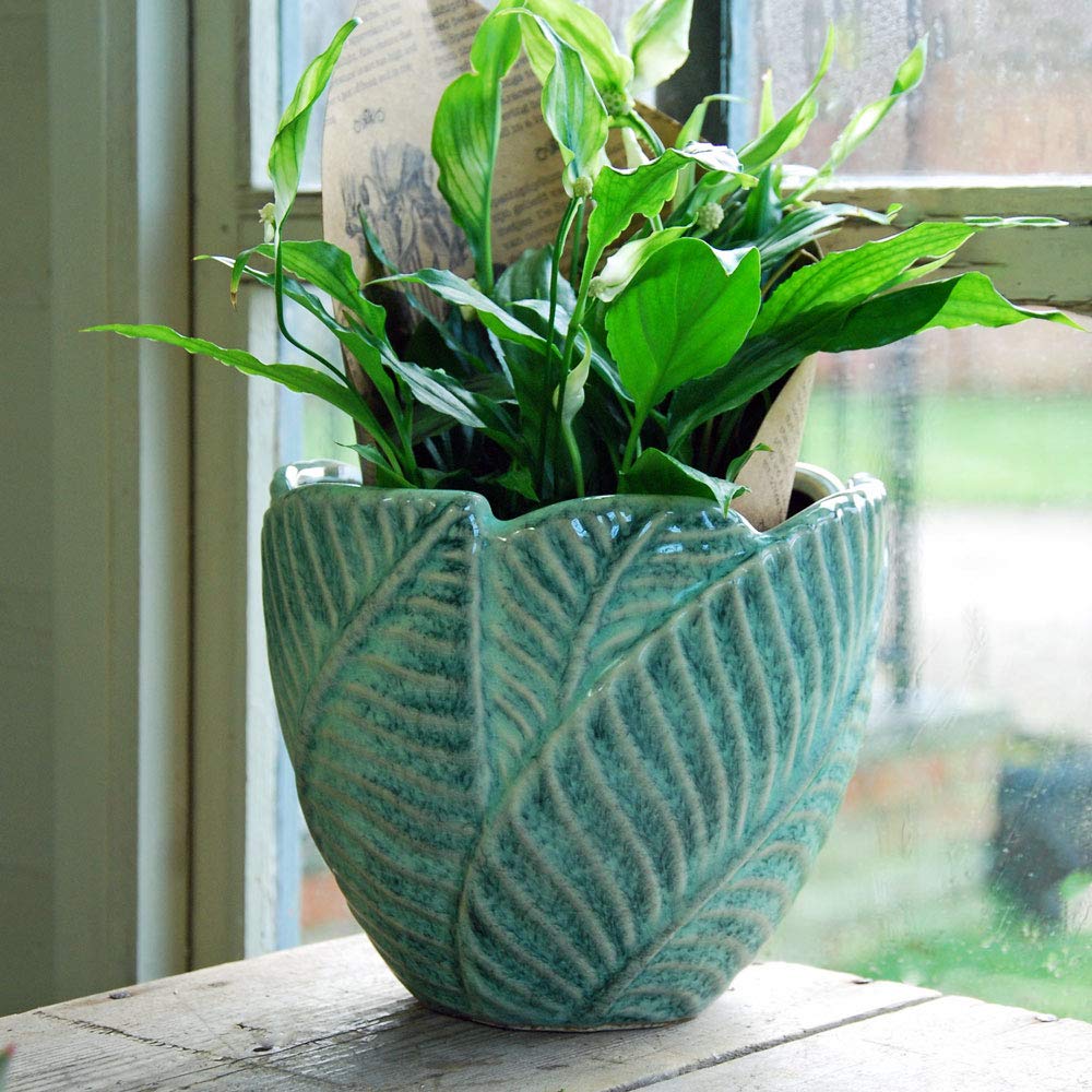 Bluebell Yard Large green leaf ceramic plant pot