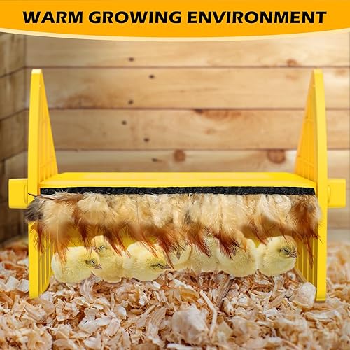 Miniatura 6 de Calentador de criador para pollitos, placa calefactora de pollos con Easy-Orange